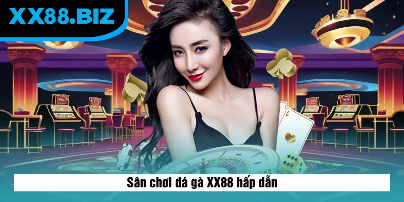 Sân chơi đá gà XX88 hấp dẫn