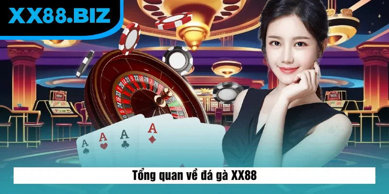 Tổng quan về đá gà XX88